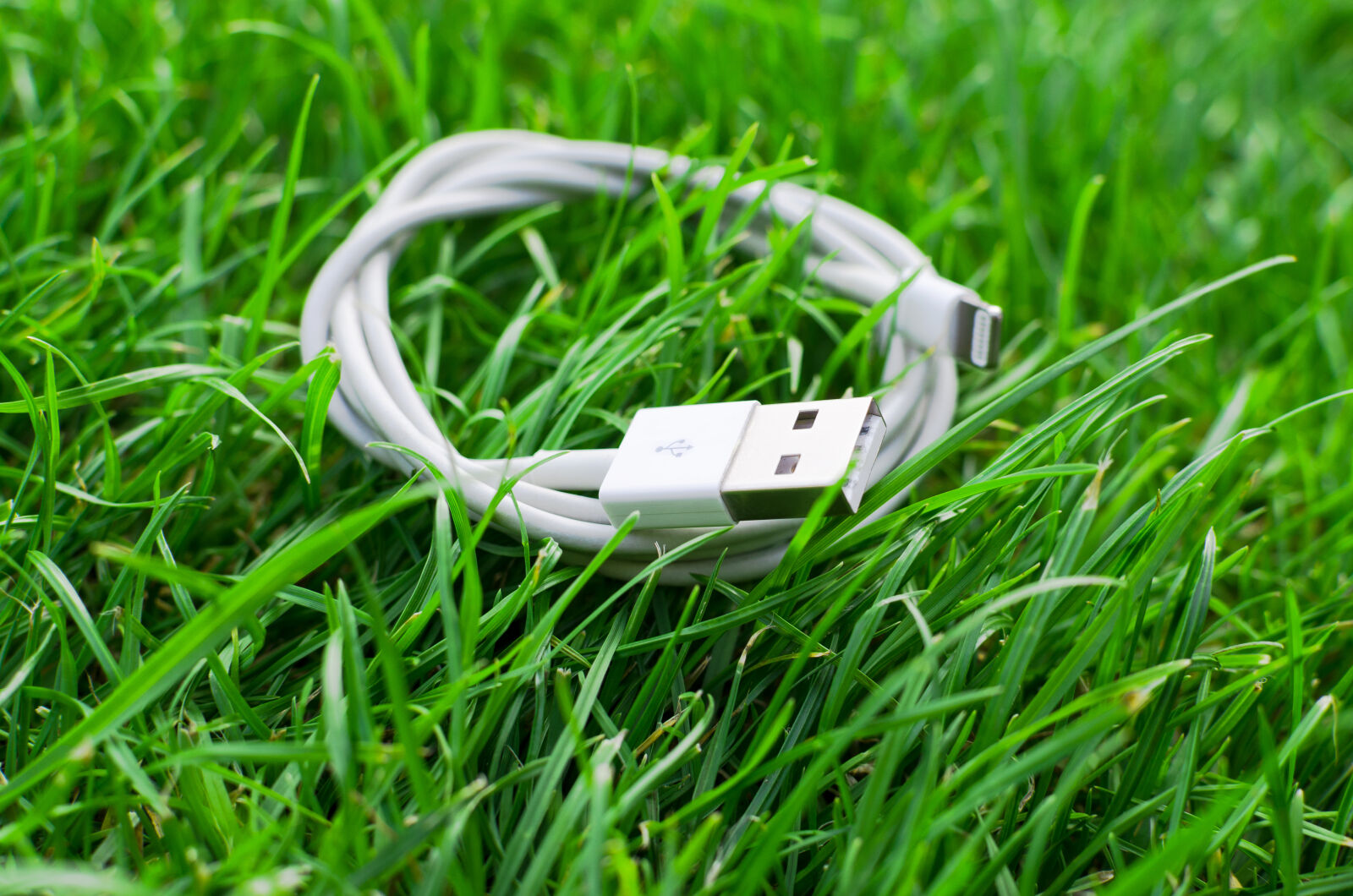 Nikon D5100 + Nikon AF-S DX Nikkor 35mm F1.8G sample photo. Alternative, bioenergy, business, cable photography