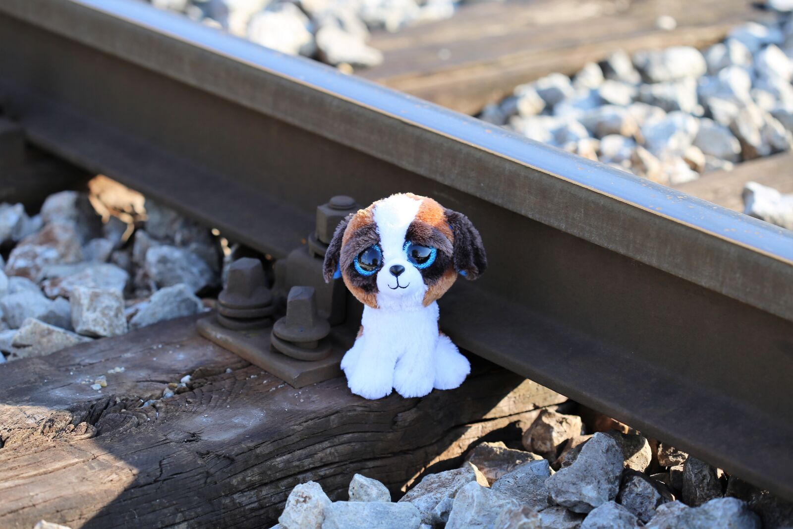 Canon EOS 6D + Canon EF 100mm F2.8 Macro USM sample photo. Stop children suicide, teddy photography