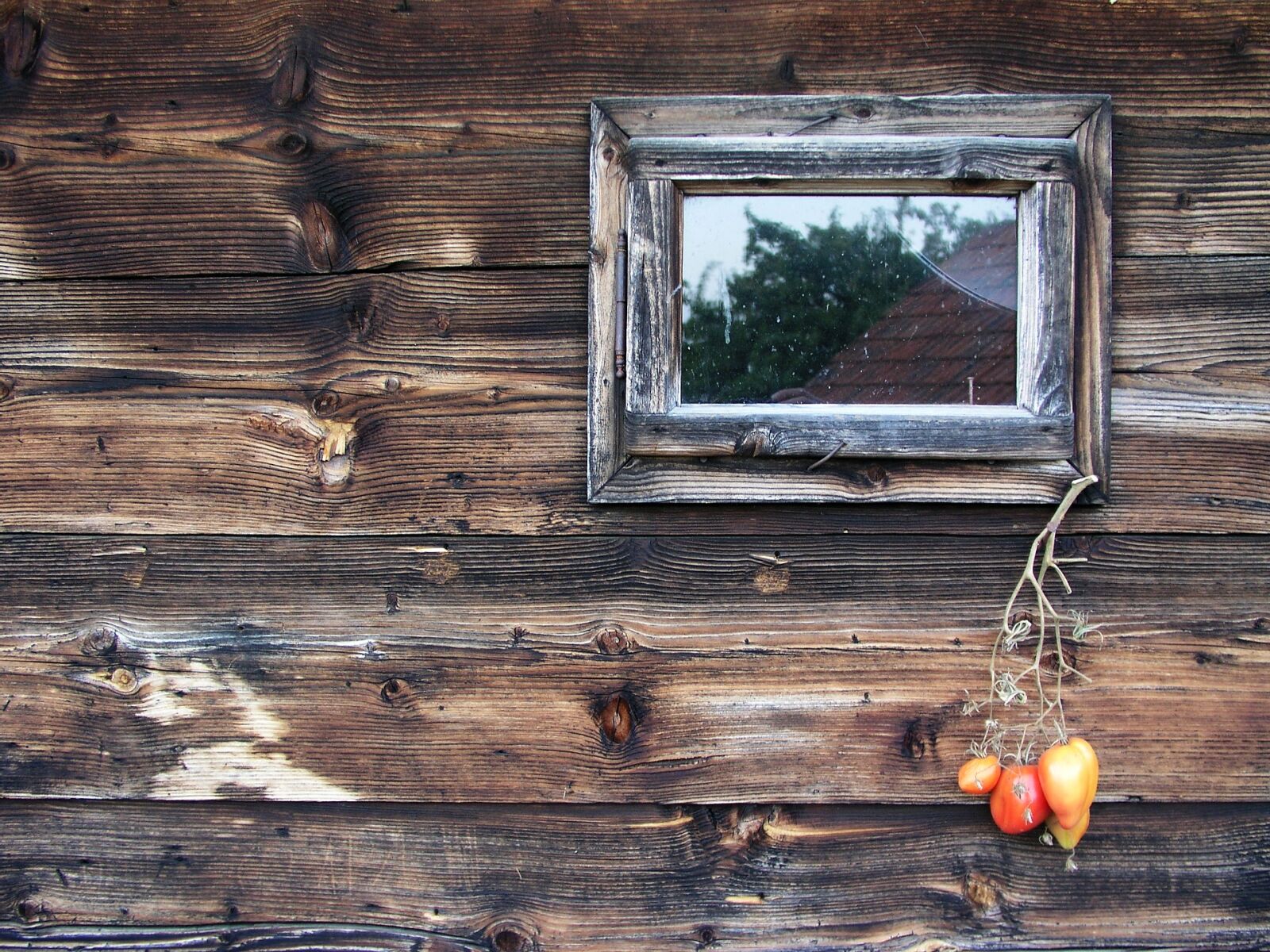 Olympus C5050Z sample photo. Wooden wall, cottage, architecture photography