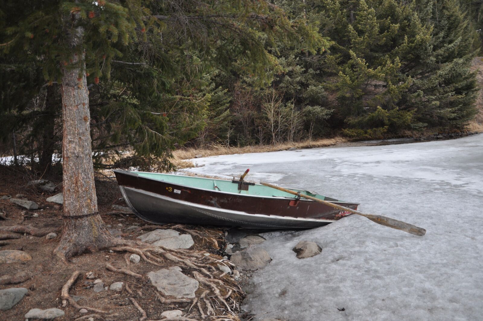 Nikon D90 sample photo. Boat, lake, frozen photography