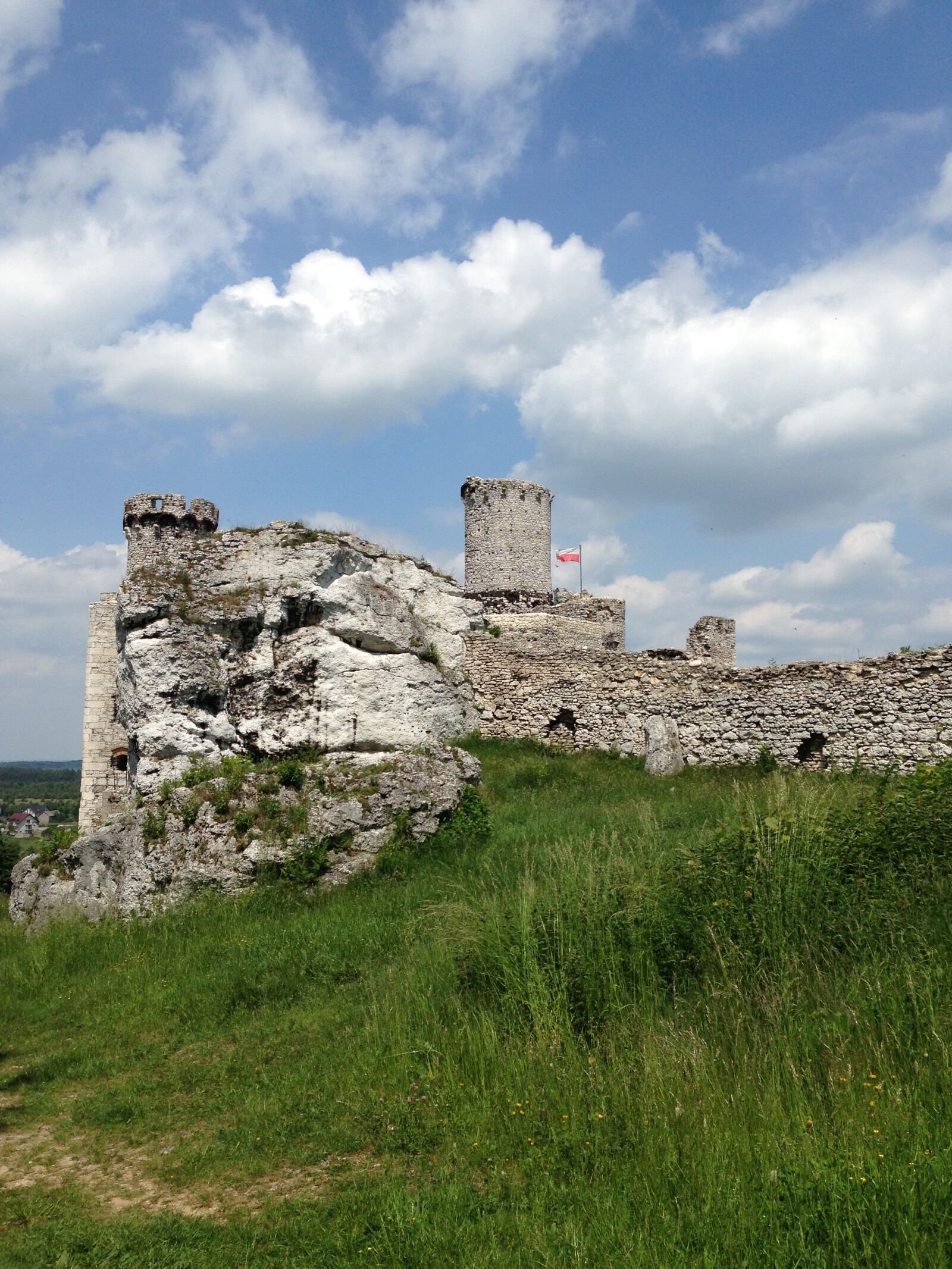 iPhone 5c back camera 4.12mm f/2.4 sample photo. Ogrodzieniec, poland, the museum photography