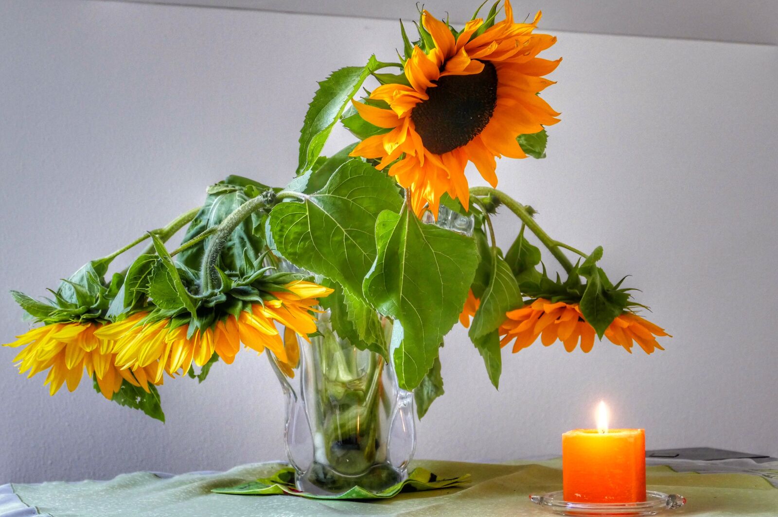 Panasonic Lumix DMC-FZ1000 sample photo. Vase, leaf, flower photography