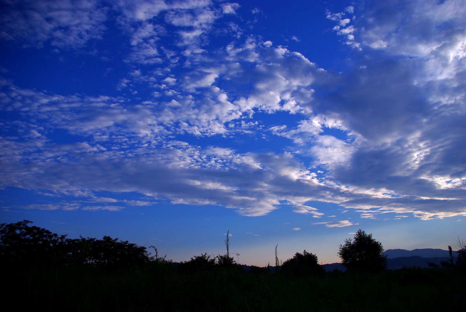 Samsung GX-10 sample photo. Sky, cloud, white clouds photography