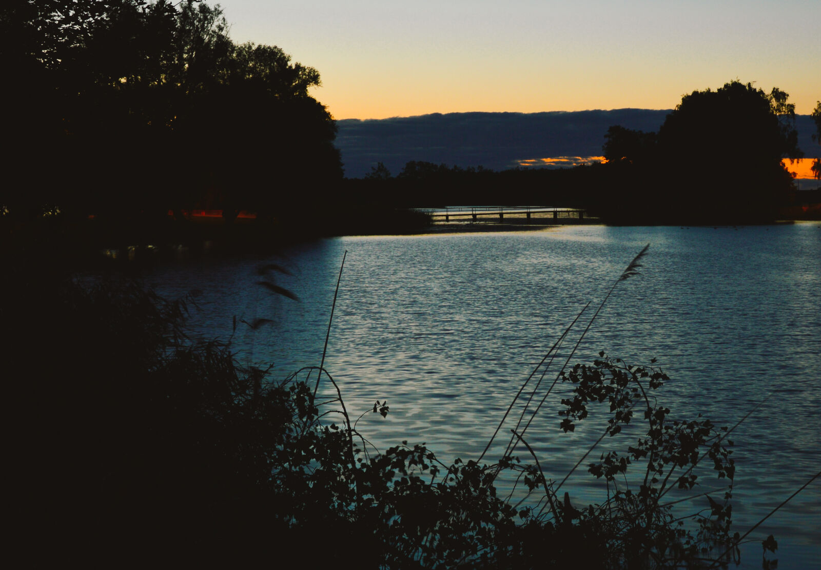 Nikon D3200 sample photo