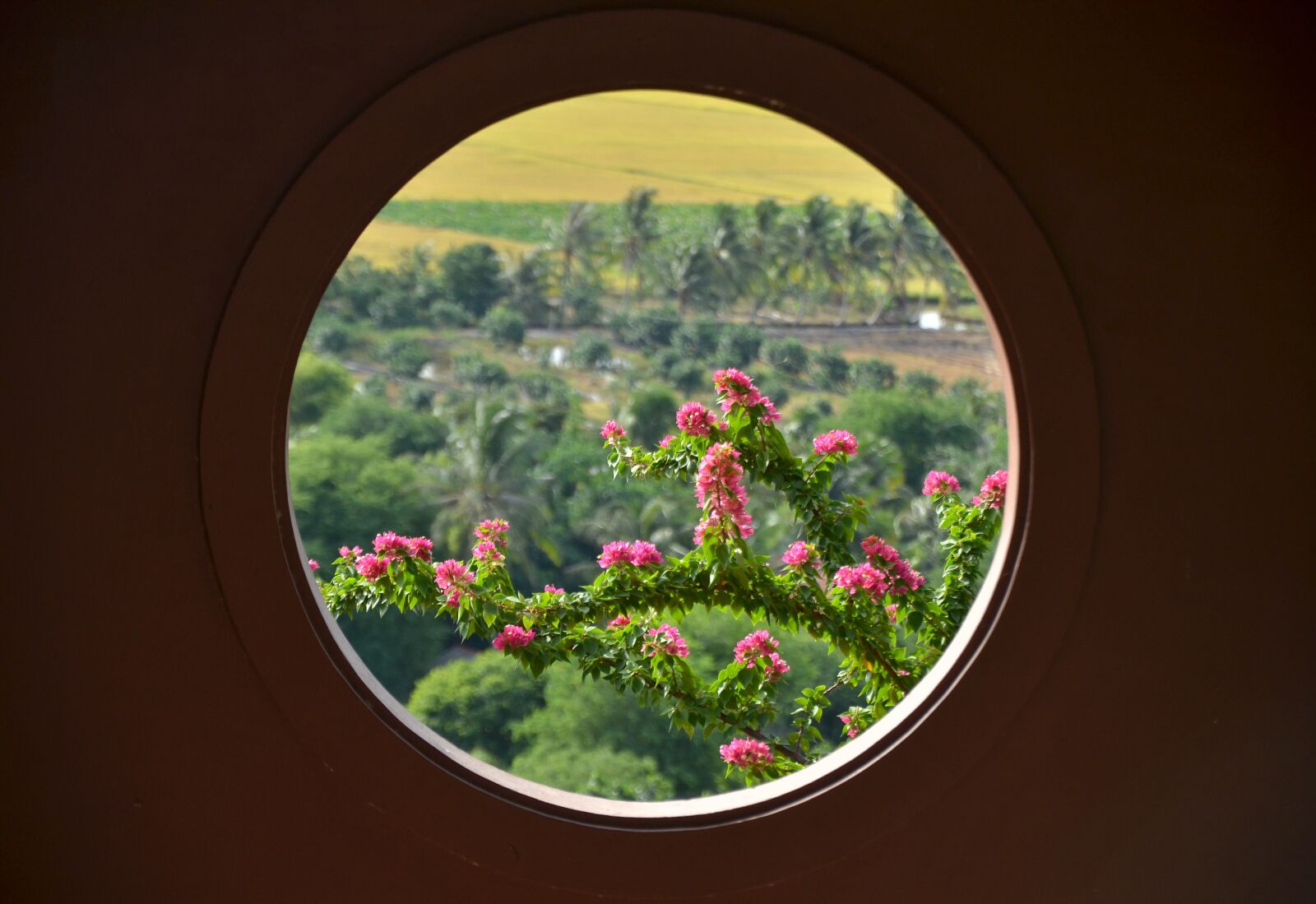 Nikon D7000 sample photo. Window, sour, vietnam photography