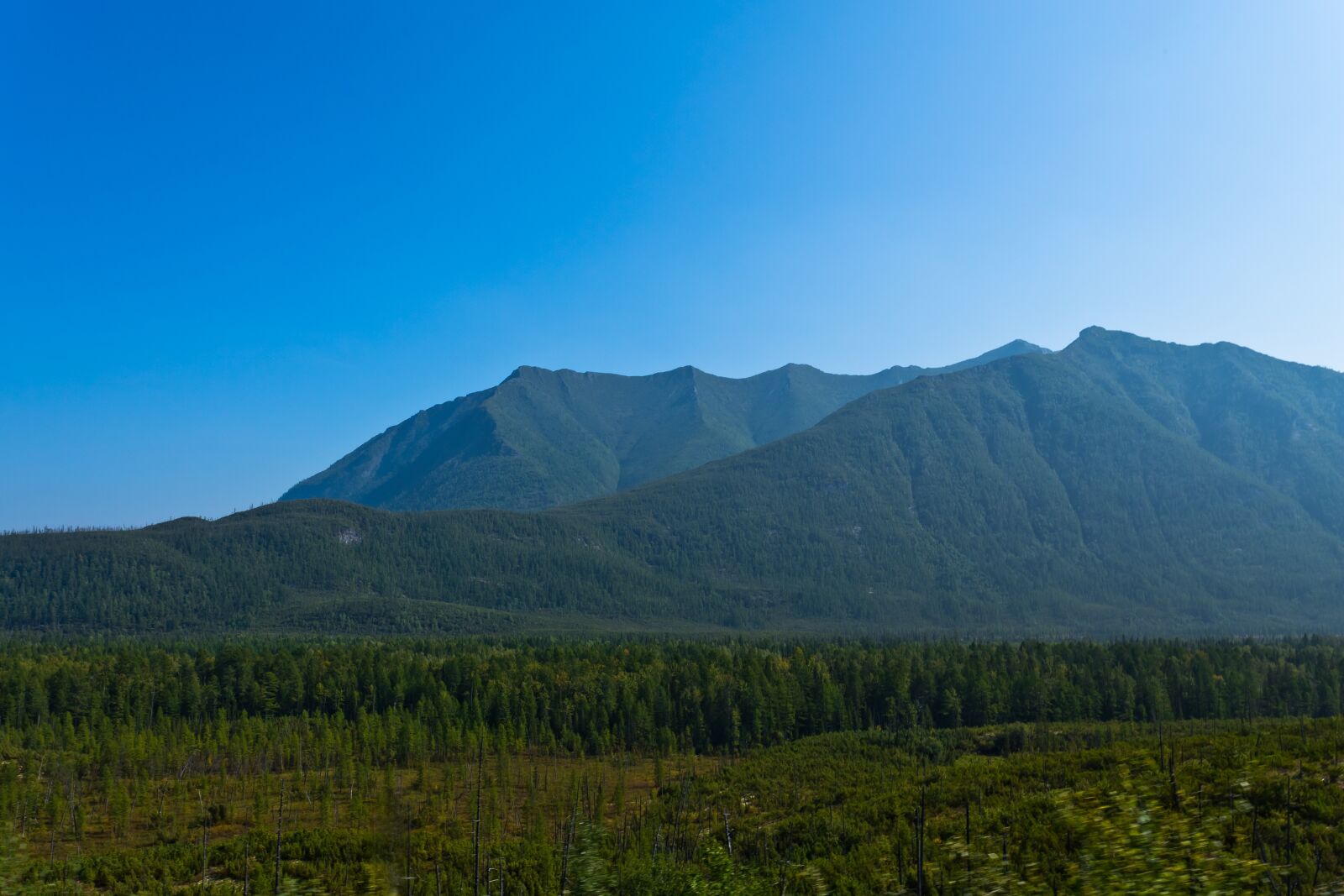 Canon EOS 6D + Canon EF 17-40mm F4L USM sample photo. Forest, top, mountain photography