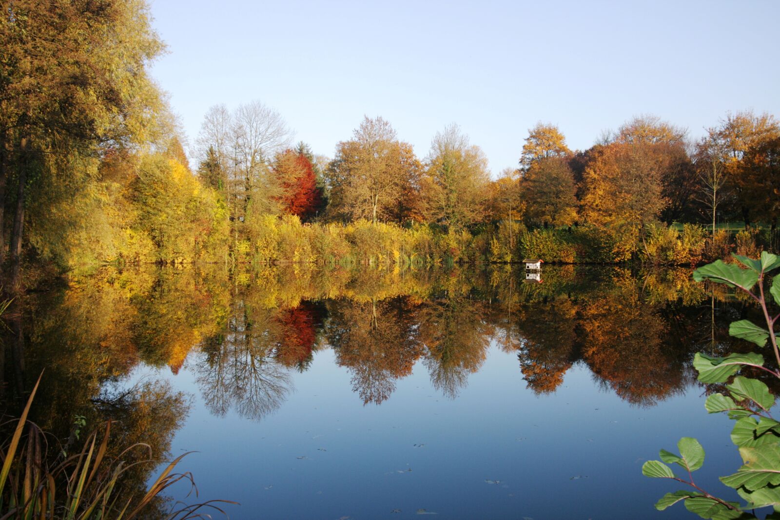 Canon EOS 40D sample photo. Lake, nature, water photography