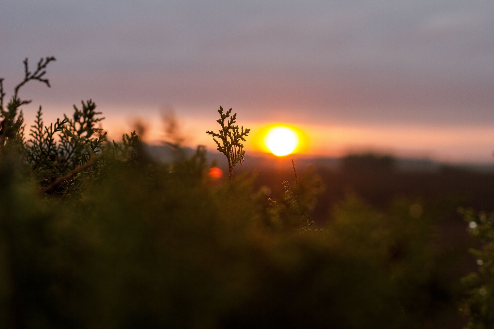 Canon EOS 550D (EOS Rebel T2i / EOS Kiss X4) sample photo. Sunset, landscape, nature photography