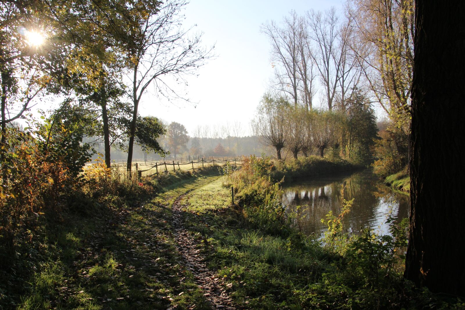 Canon EOS 100D (EOS Rebel SL1 / EOS Kiss X7) sample photo. Autumn, brook, path photography