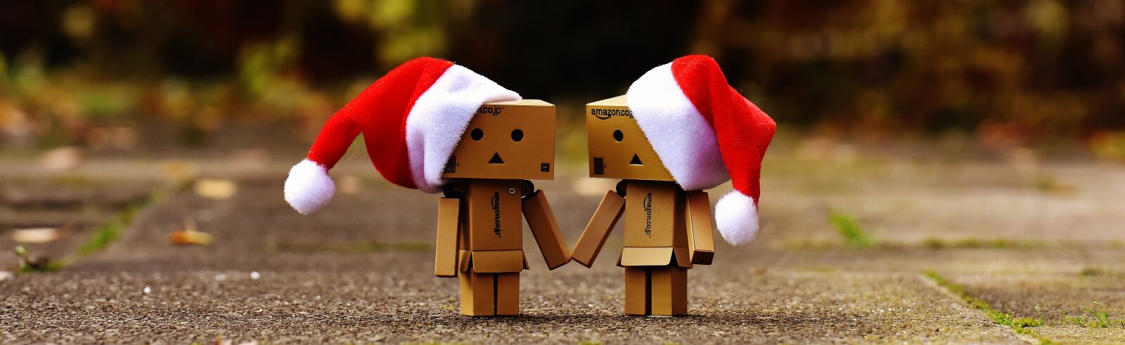 Nikon D7200 sample photo. Danbo, christmas, figure photography