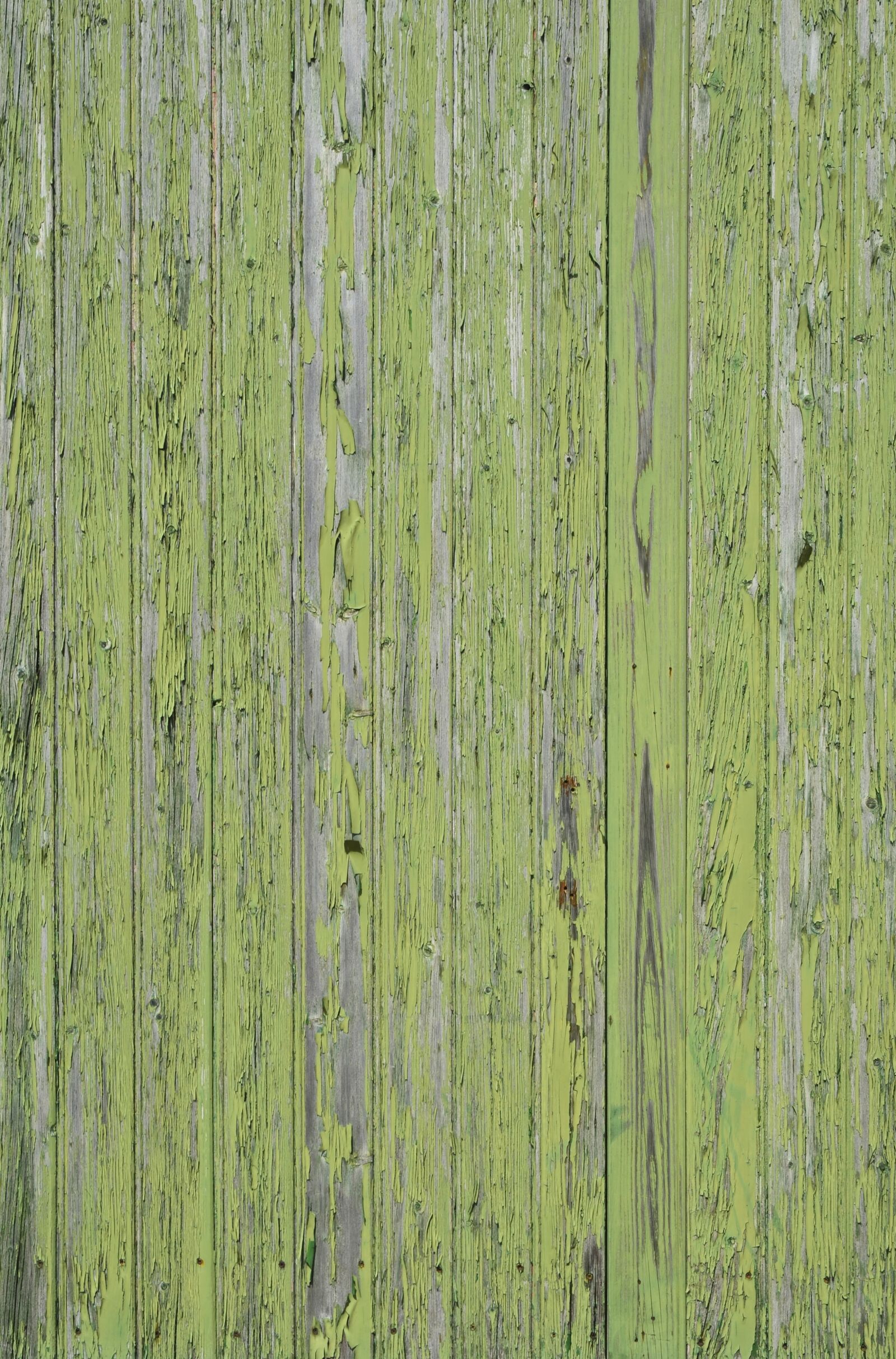 Nikon D5100 sample photo. Wood, texture, background photography