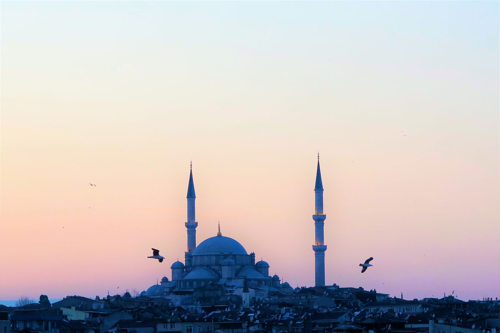 Canon PowerShot G7 X sample photo. Cami, istanbul, turkey photography
