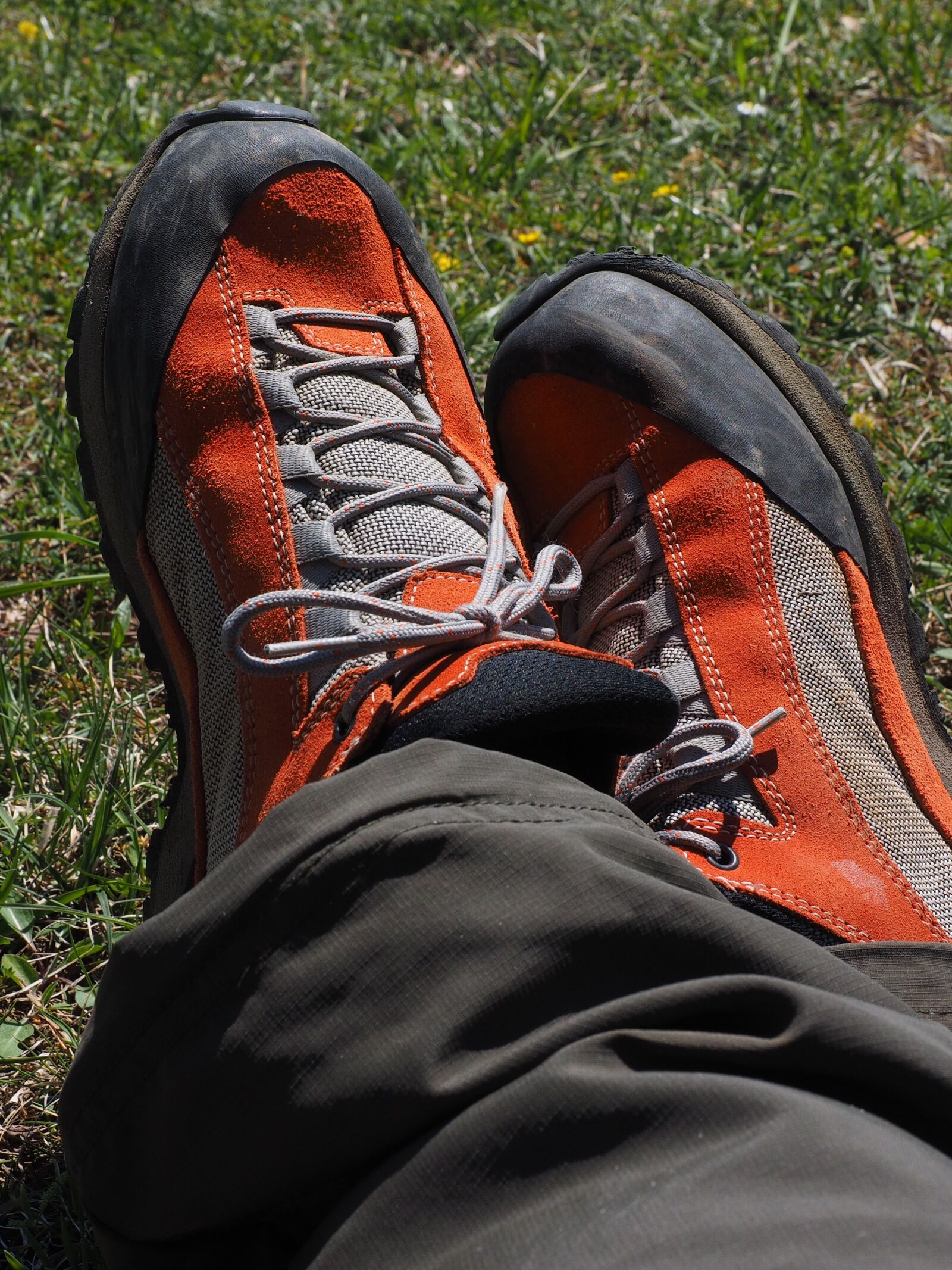 Olympus OM-D E-M1 + Olympus M.Zuiko Digital ED 12-40mm F2.8 Pro sample photo. Shoes, hiking shoes, alpine photography