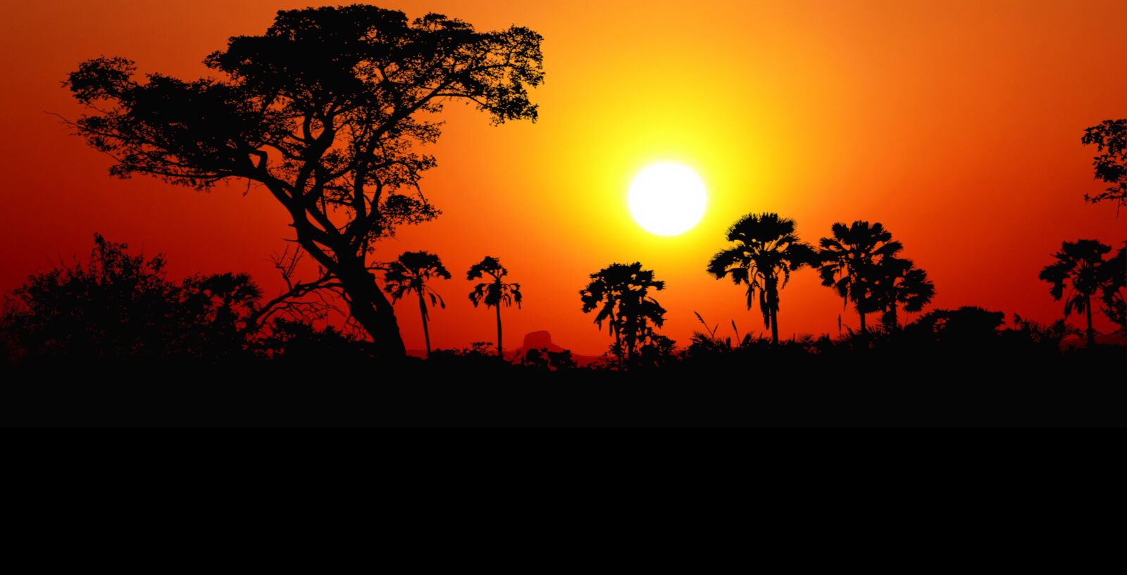 Panasonic Lumix DMC-FZ200 sample photo. Sunset, nature, landscape photography