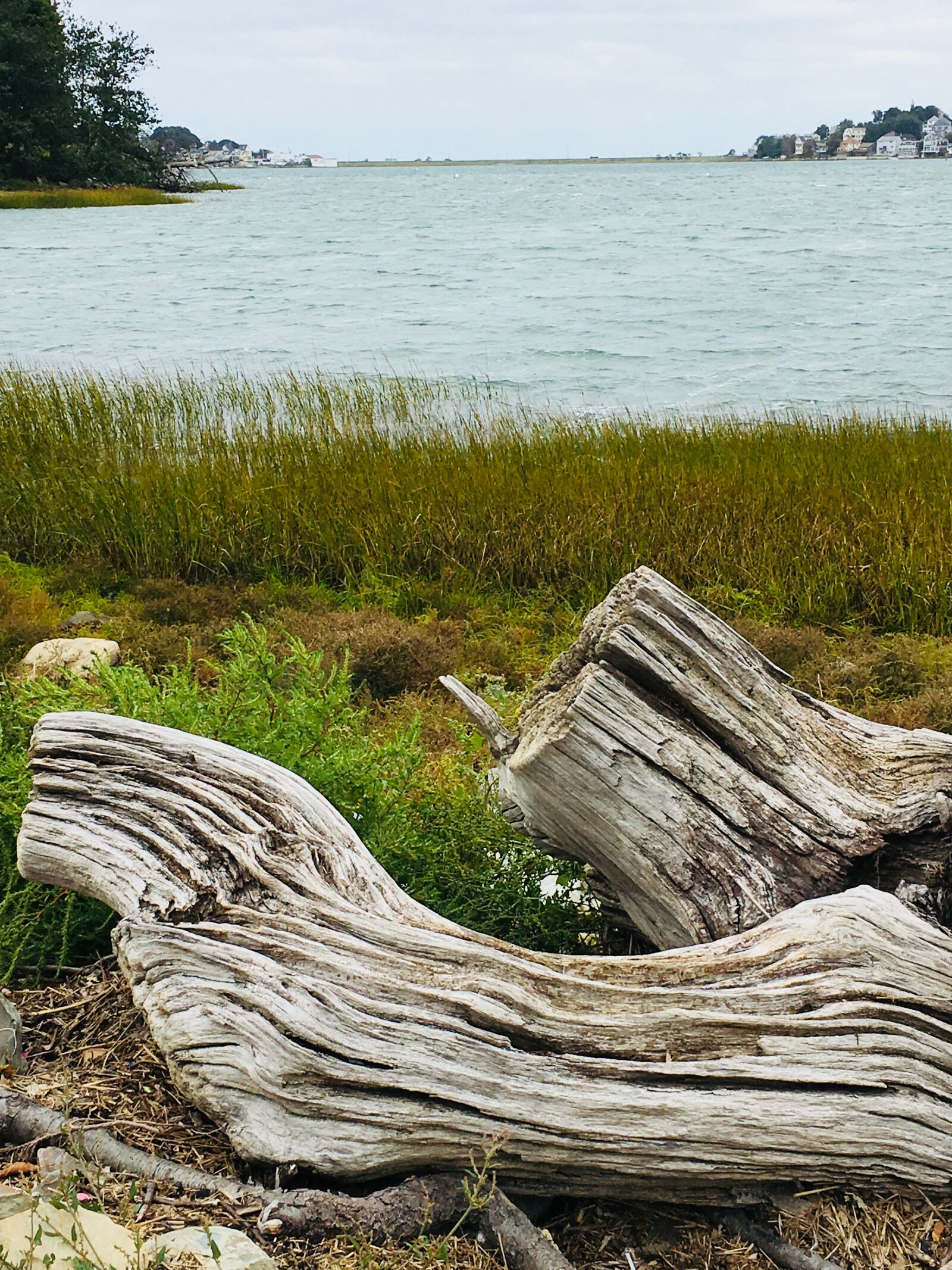 Apple iPhone 6s sample photo. Wood, shore, water photography