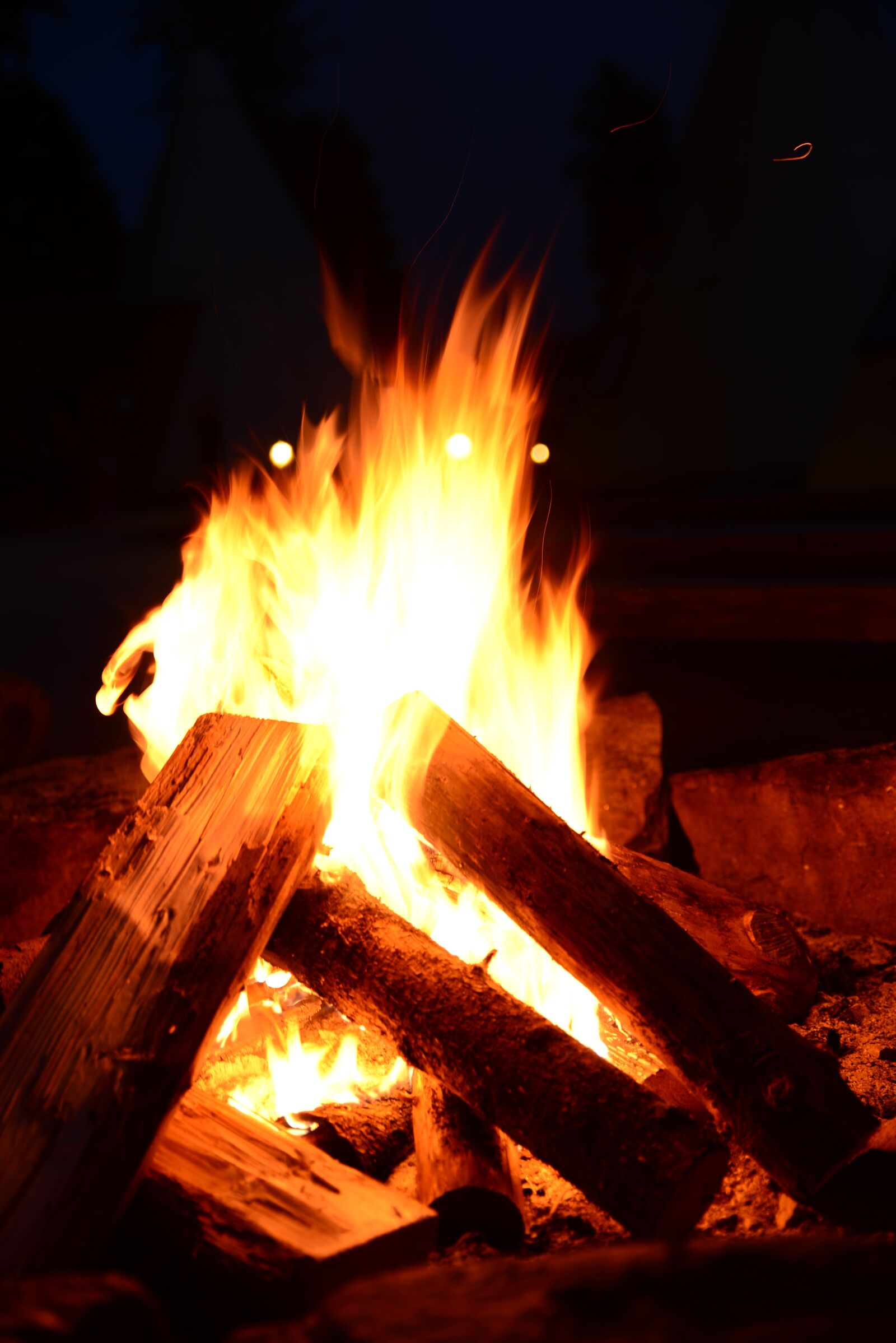 Nikon D610 sample photo. Fire, logs, firewood photography