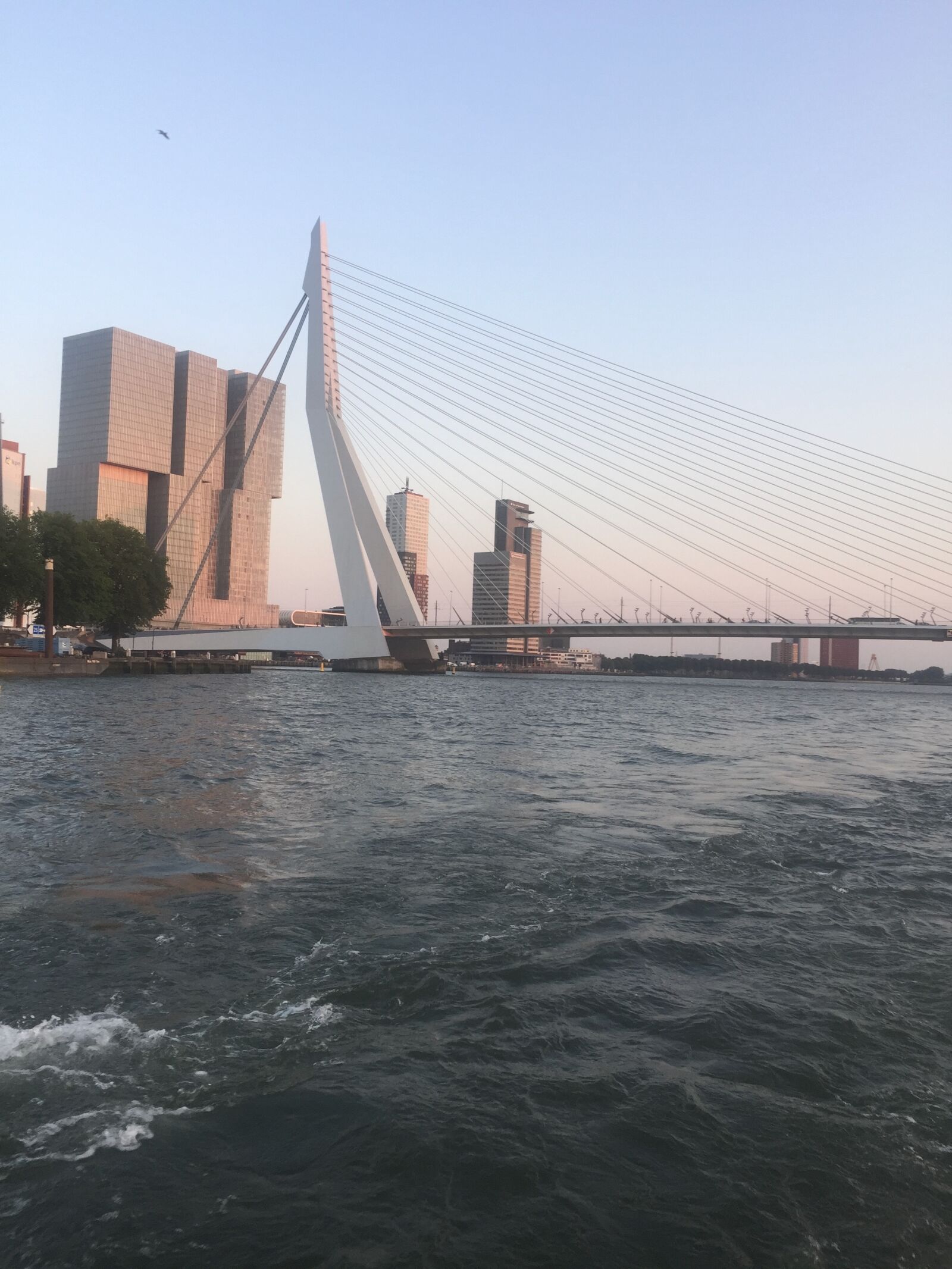 iPhone 6 Plus back camera 4.15mm f/2.2 sample photo. Rotterdam, netherlands, holland photography