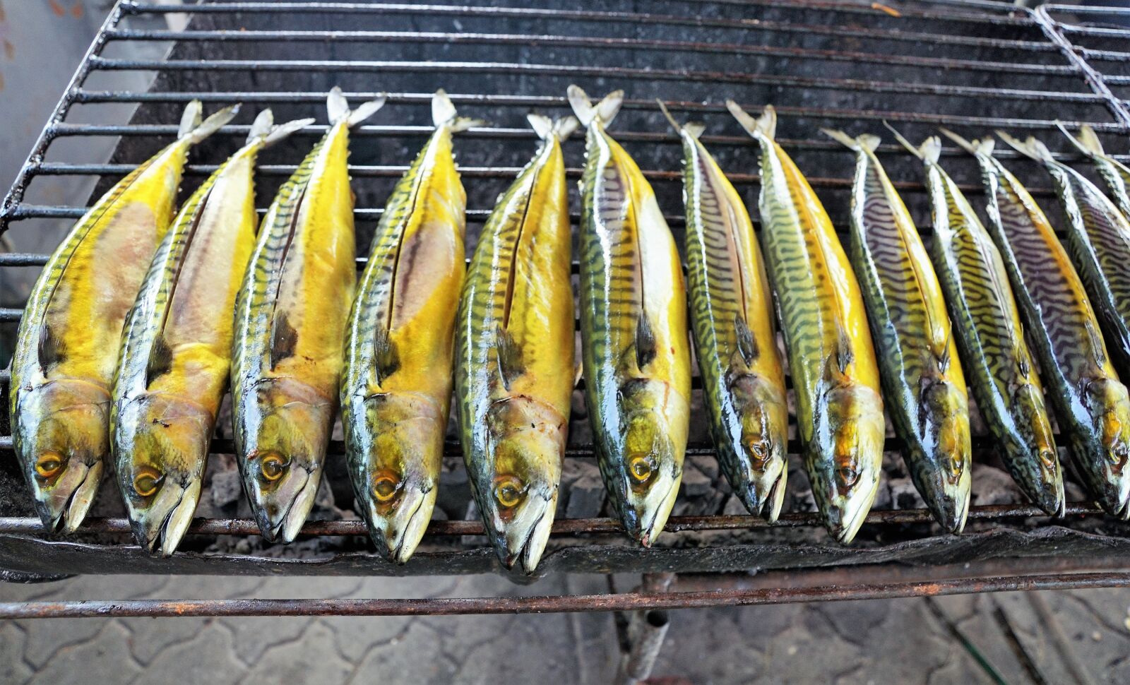 Sony ILCA-77M2 + Sony DT 16-50mm F2.8 SSM sample photo. Food, fish, seafood photography