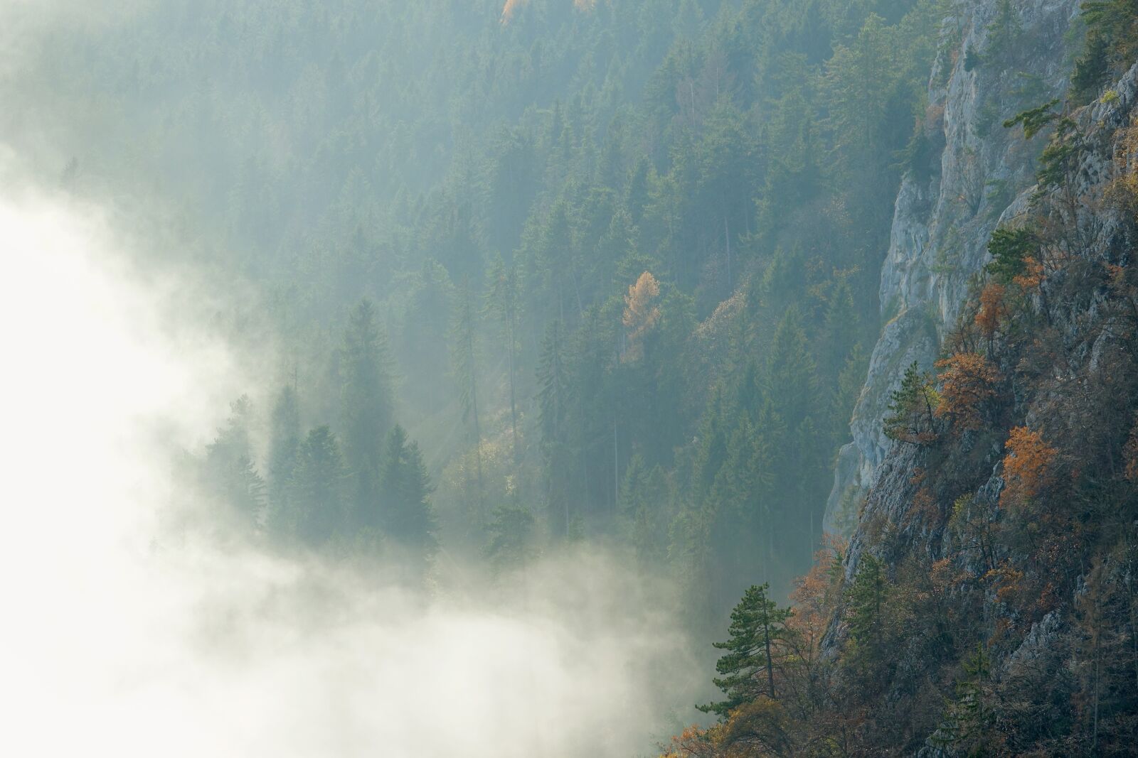 Sony Cyber-shot DSC-RX10 III sample photo. Nature, fog, landscape photography