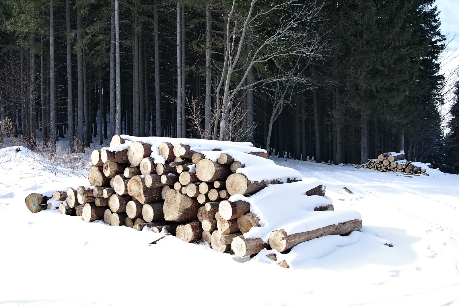 Pentax K-S2 sample photo. Wood, stack, a pile photography