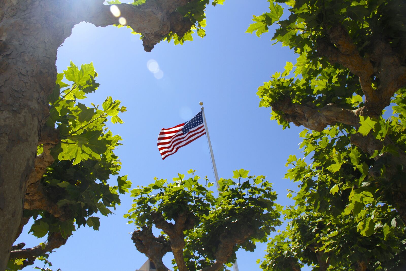 Canon EOS 7D sample photo. Flag, america flag, stars photography