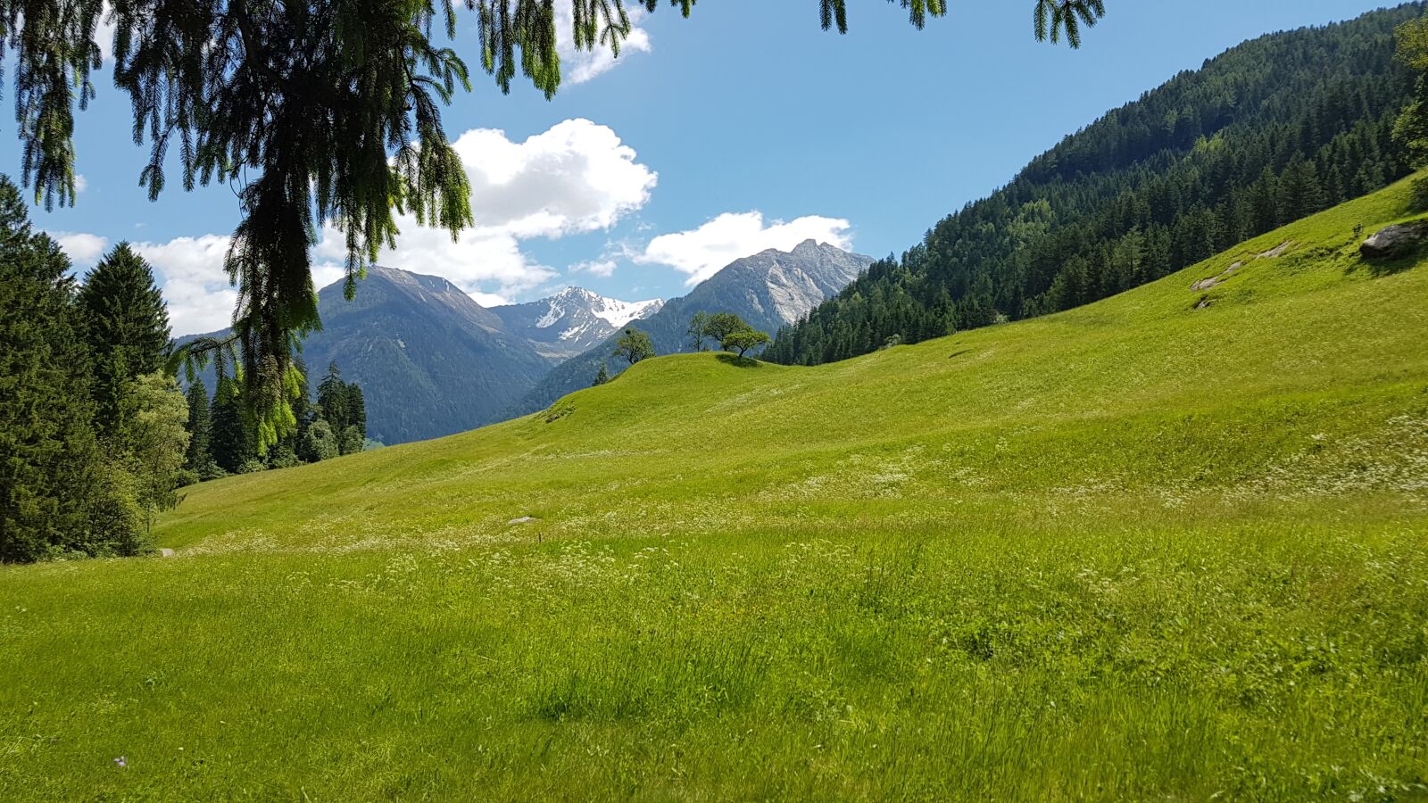 Samsung Galaxy S7 sample photo. Alpine meadow, mountains, landscape photography