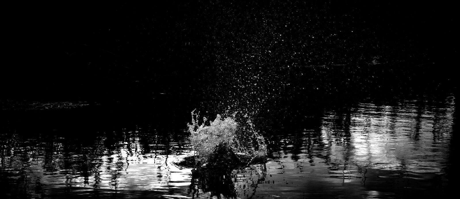 Nikon D5300 sample photo. Splash, light, wave photography