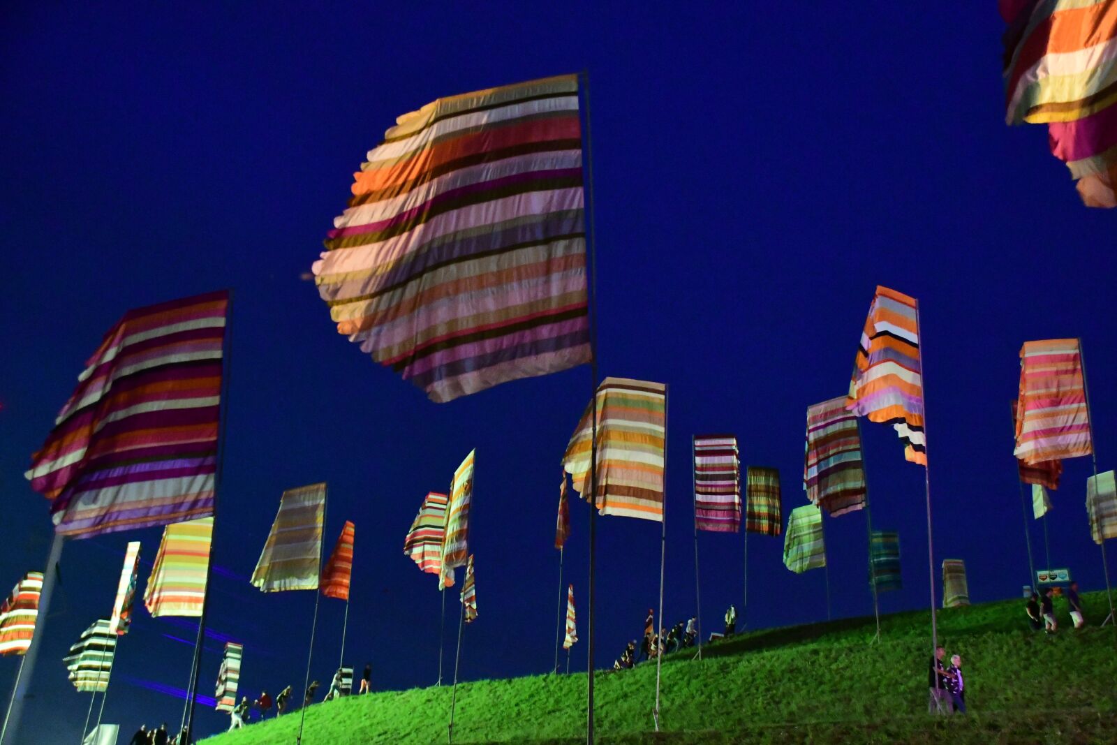 Nikon D500 sample photo. Music, festival, party photography