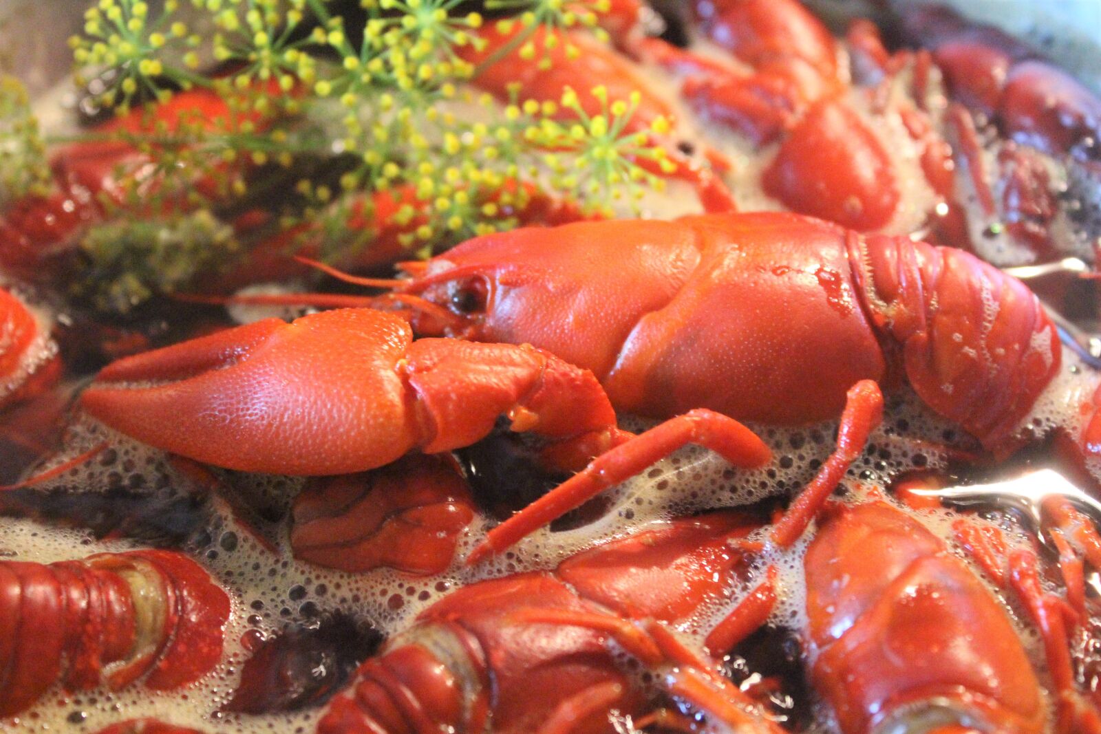 Canon EOS 700D (EOS Rebel T5i / EOS Kiss X7i) sample photo. Crayfish, kok, seafood photography