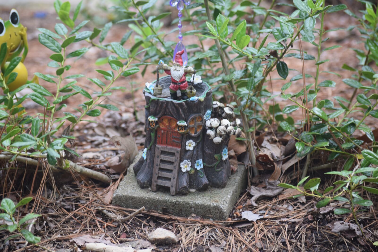 Nikon D3300 sample photo. Gnomes, cute, small photography