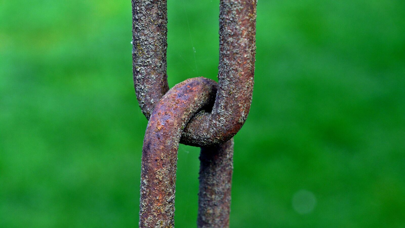 Nikon D5200 sample photo. Rust, chain, iron photography