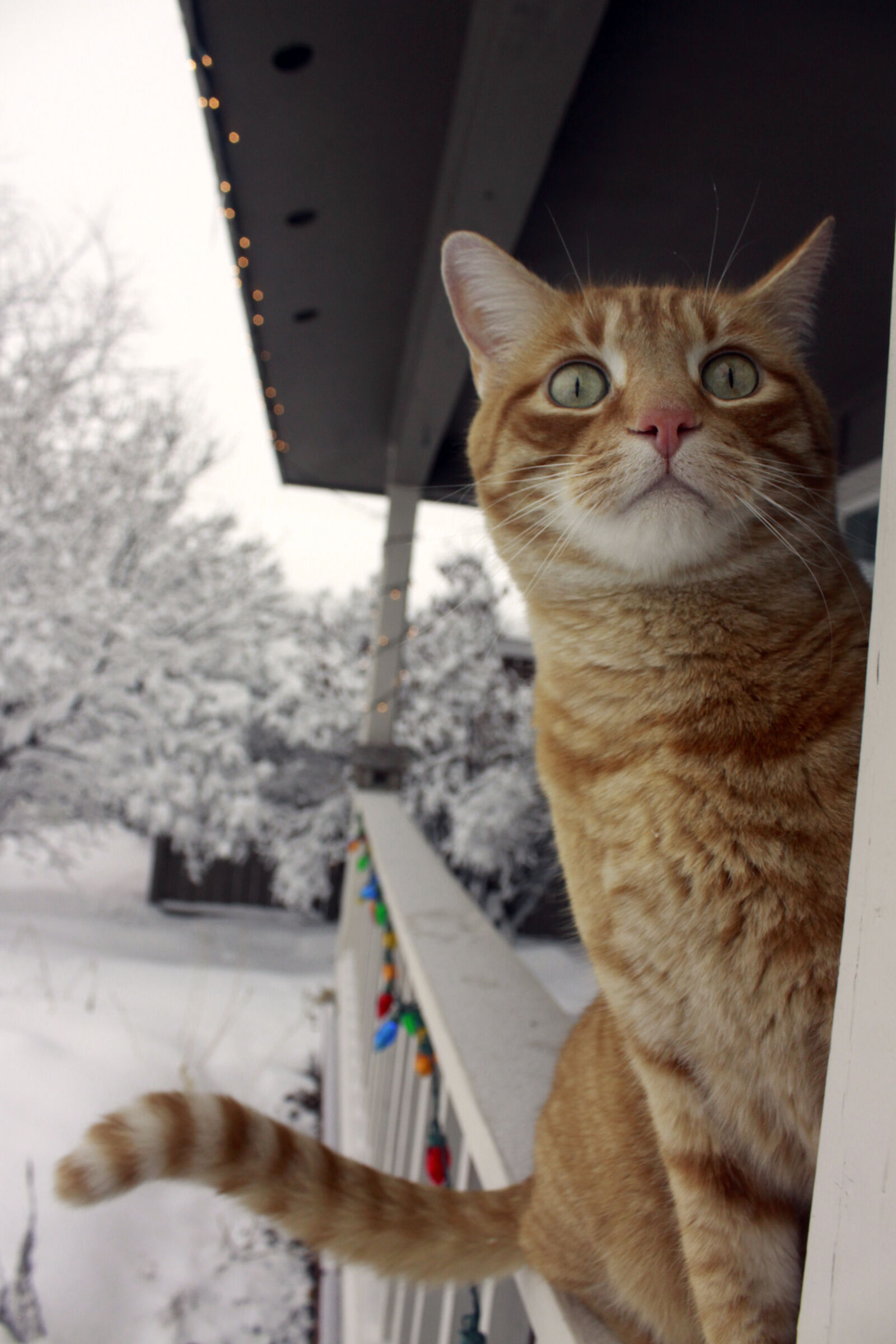 Canon EOS 50D sample photo
