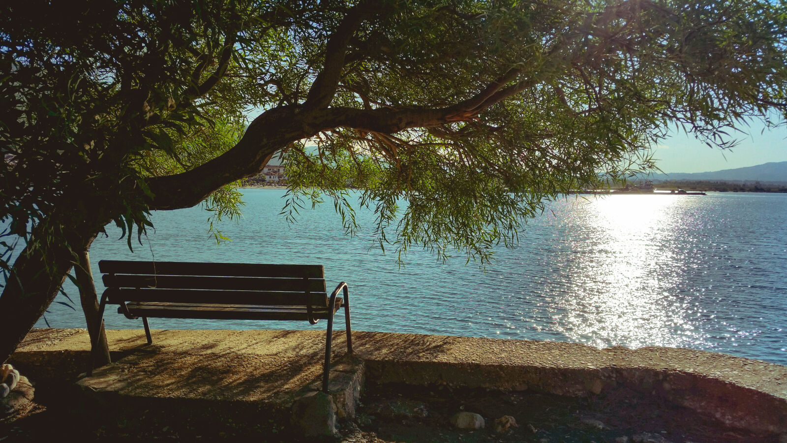 Samsung Galaxy S5 sample photo. Bench, under, tree, during photography