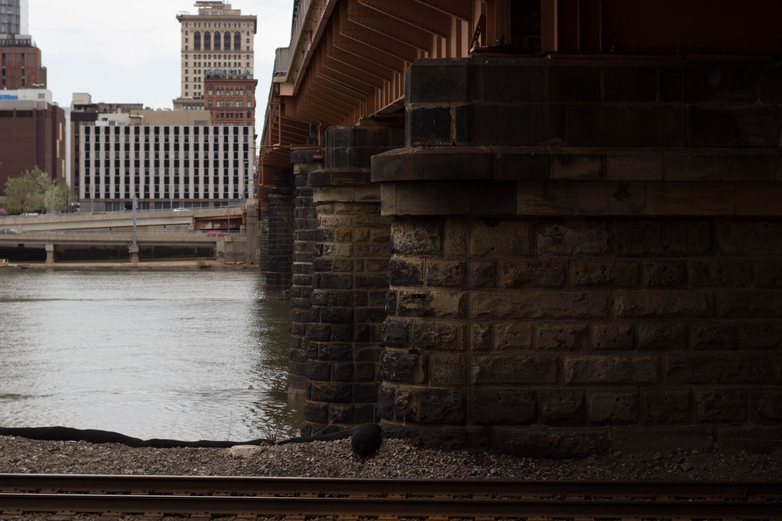Canon EF 50mm F1.8 II sample photo. Bridges, nicolas, desarno photography
