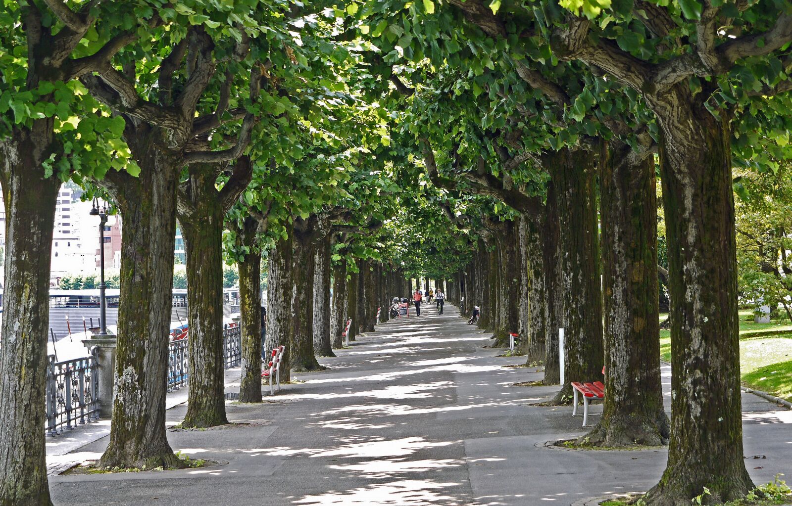 Panasonic Lumix DMC-G1 sample photo. Lugano, lake promenade, avenue photography