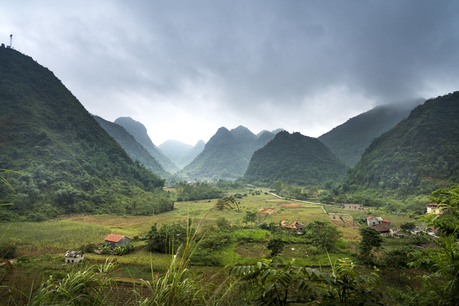 Sony FE 24-70mm F2.8 GM sample photo. Bac son, silk, field photography