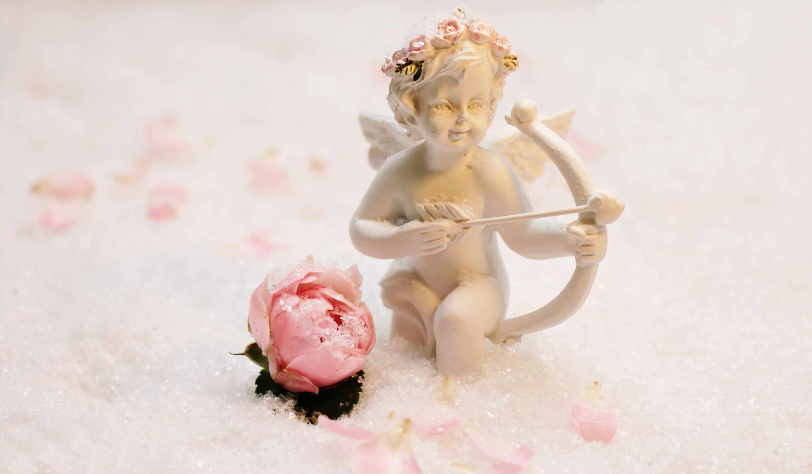 Canon EOS 550D (EOS Rebel T2i / EOS Kiss X4) sample photo. Photo studio, decoration, interior photography