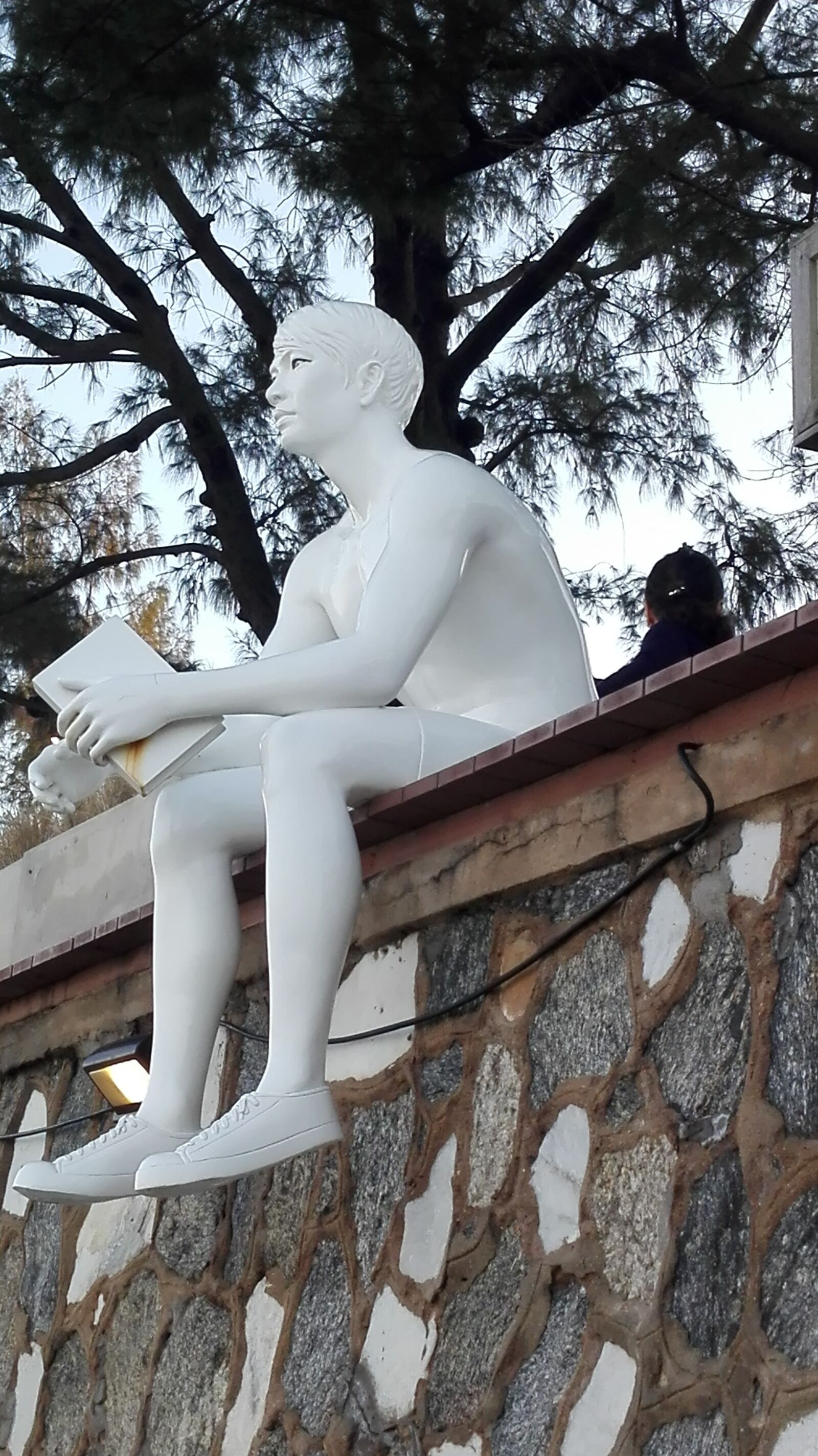 HUAWEI P8 Lite sample photo. Figure, man, reading a photography
