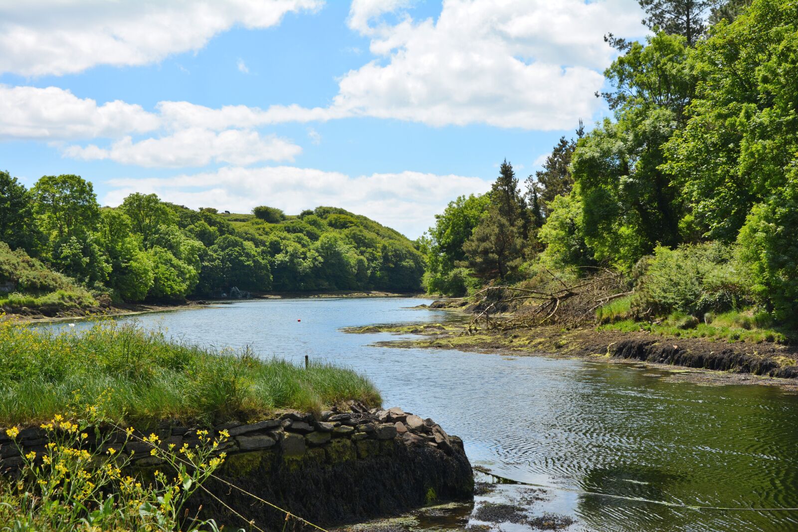 Nikon D5200 sample photo. Ireland, landscape, bay photography