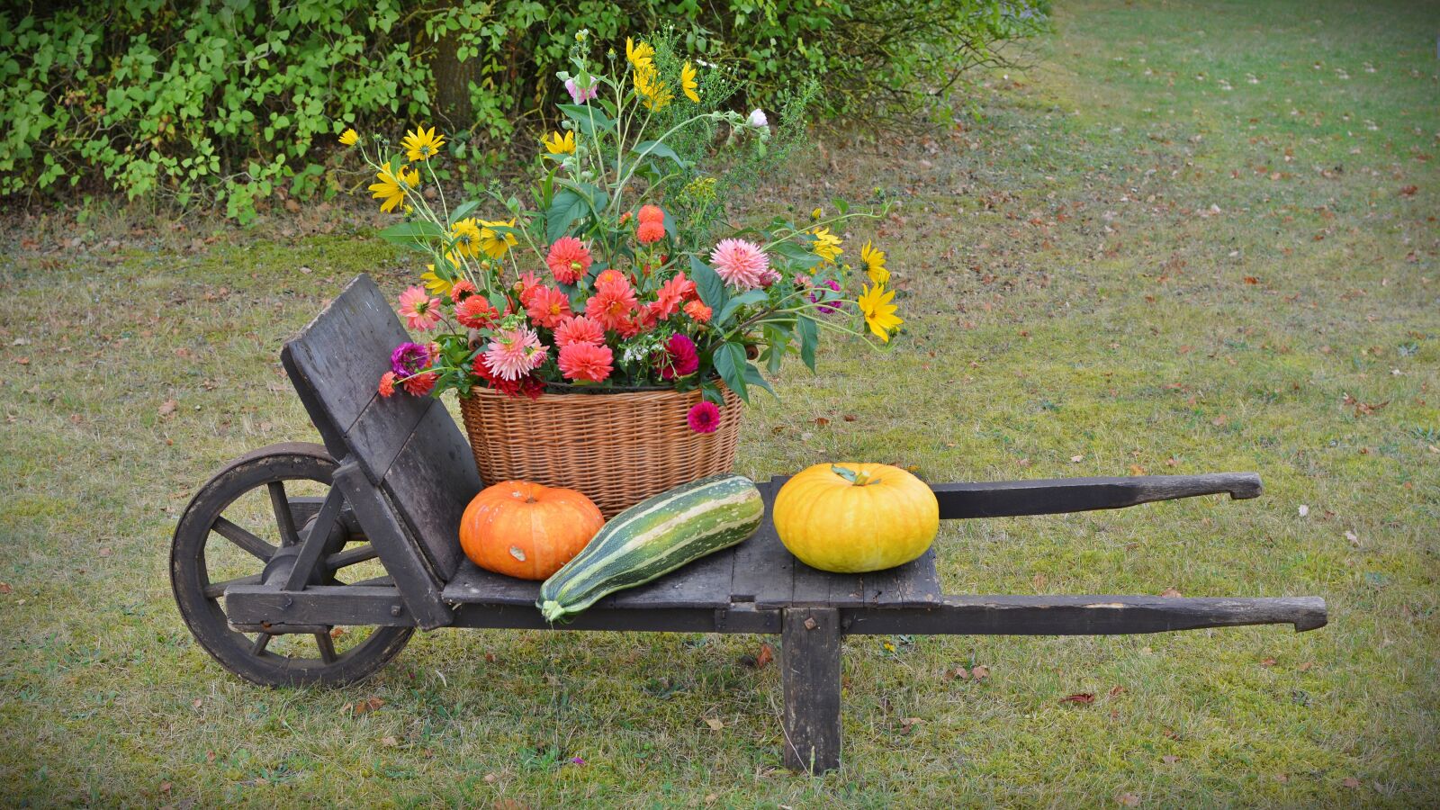 Nikon D5200 sample photo. Thanksgiving, decoration, harvest festival photography