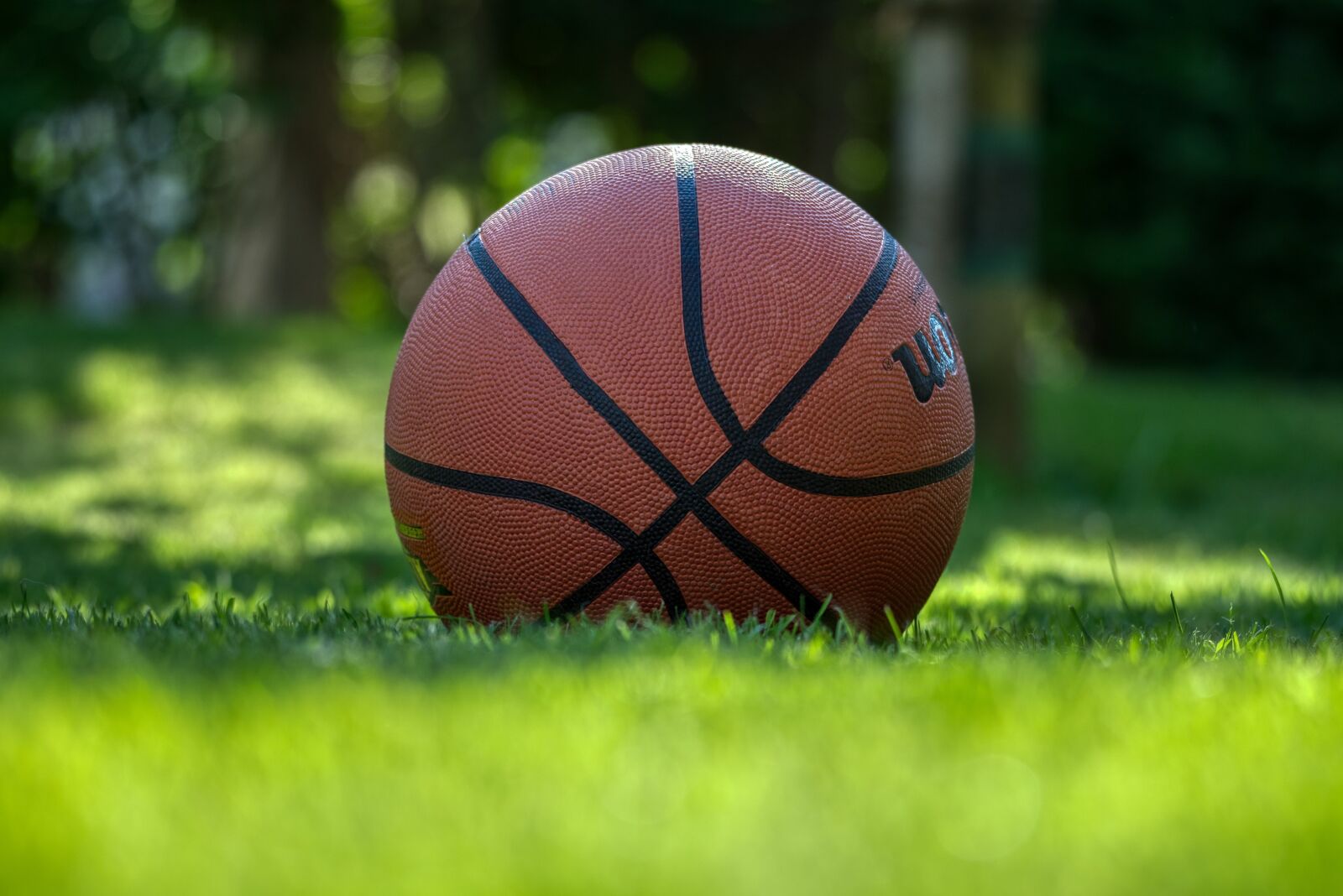 Nikon D750 sample photo. Basketball, play, meadow photography