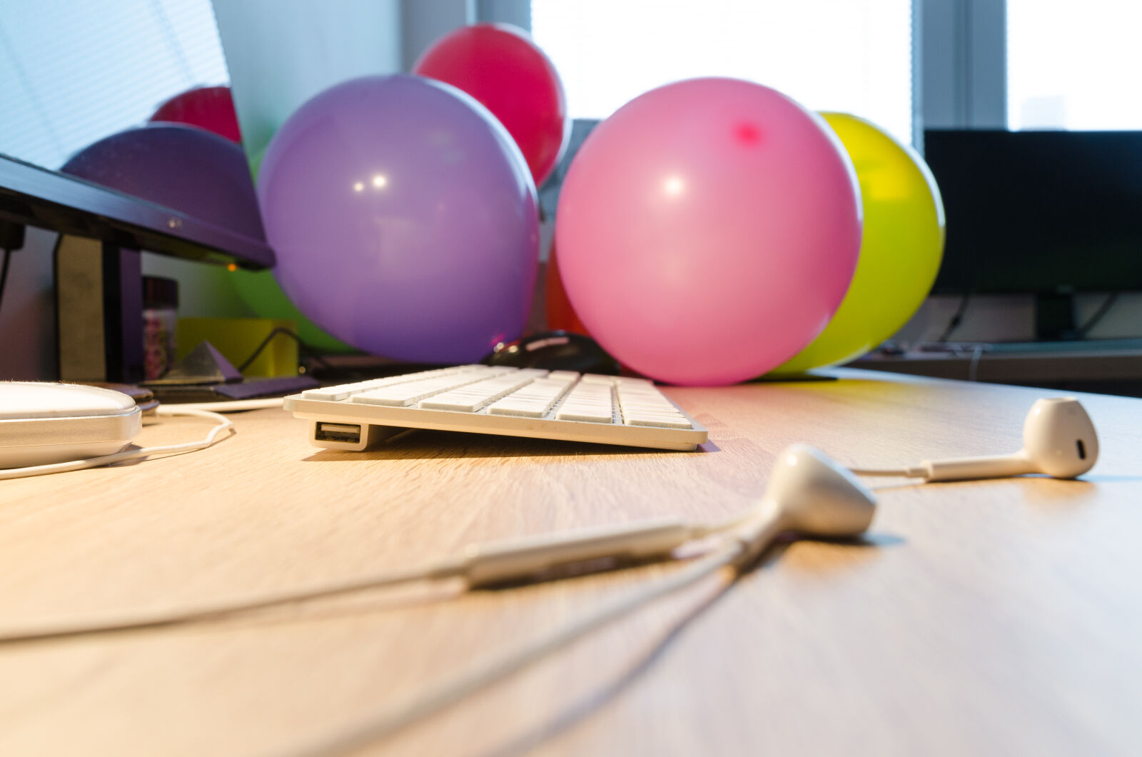 Nikon D5100 sample photo. Above, background, blank, business photography