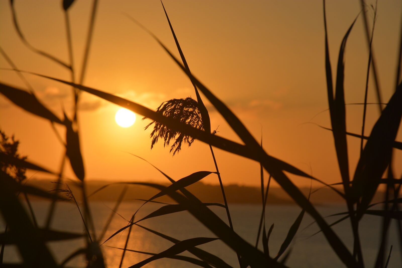 Nikon D7100 sample photo. Sunset, sea, coast photography