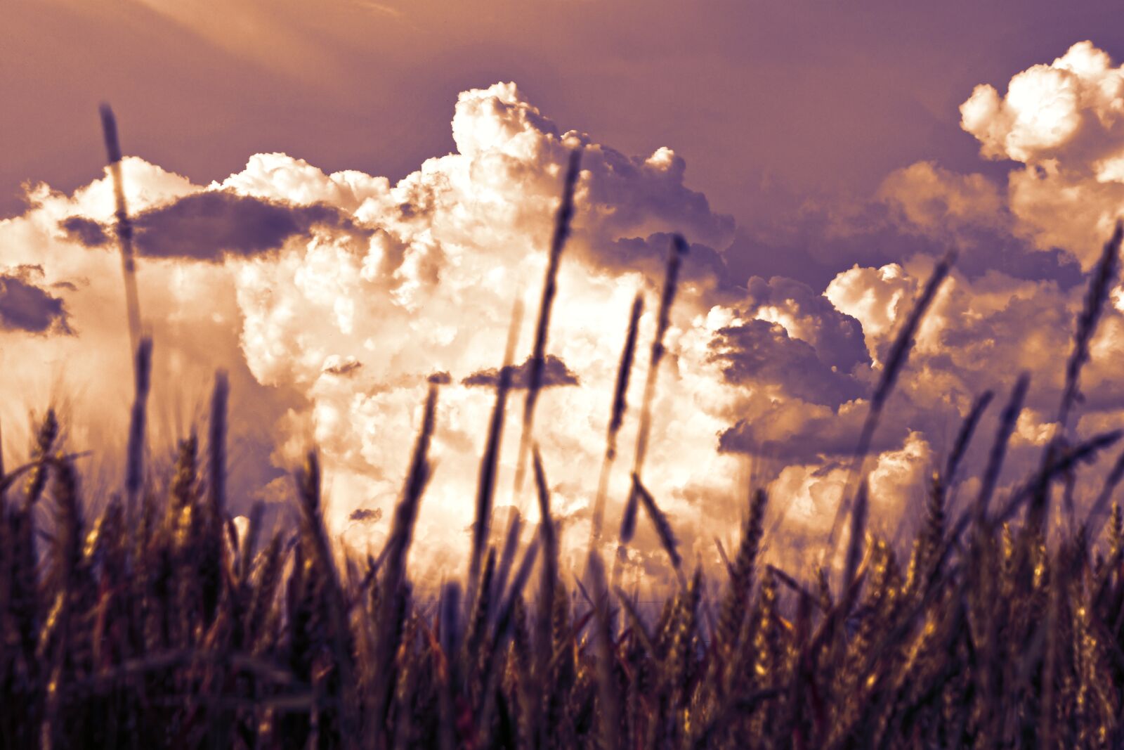 Nikon D7500 sample photo. Sunset, clouds, sky photography