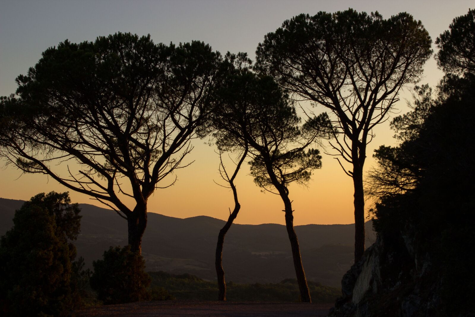 Canon EOS 600D (Rebel EOS T3i / EOS Kiss X5) sample photo. Abendstimmung, trees, shadow photography
