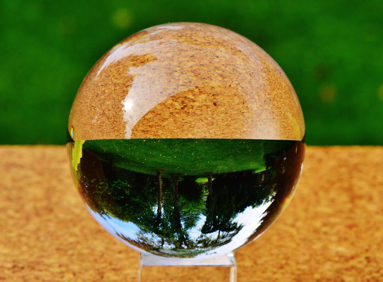Nikon D3200 sample photo. Glass ball, ball, mirroring photography