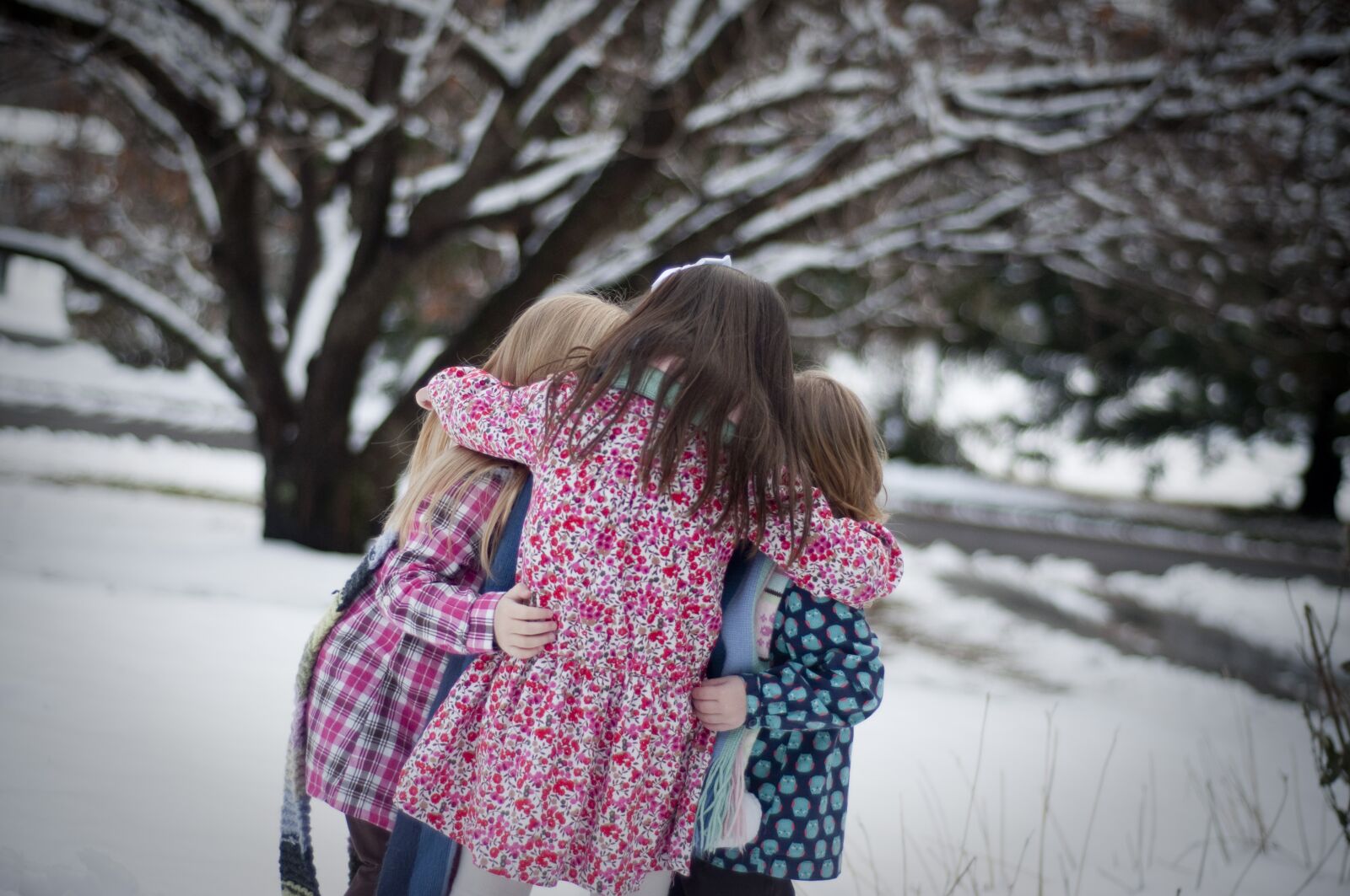 Nikon D90 sample photo. Girls, sisters, snow photography