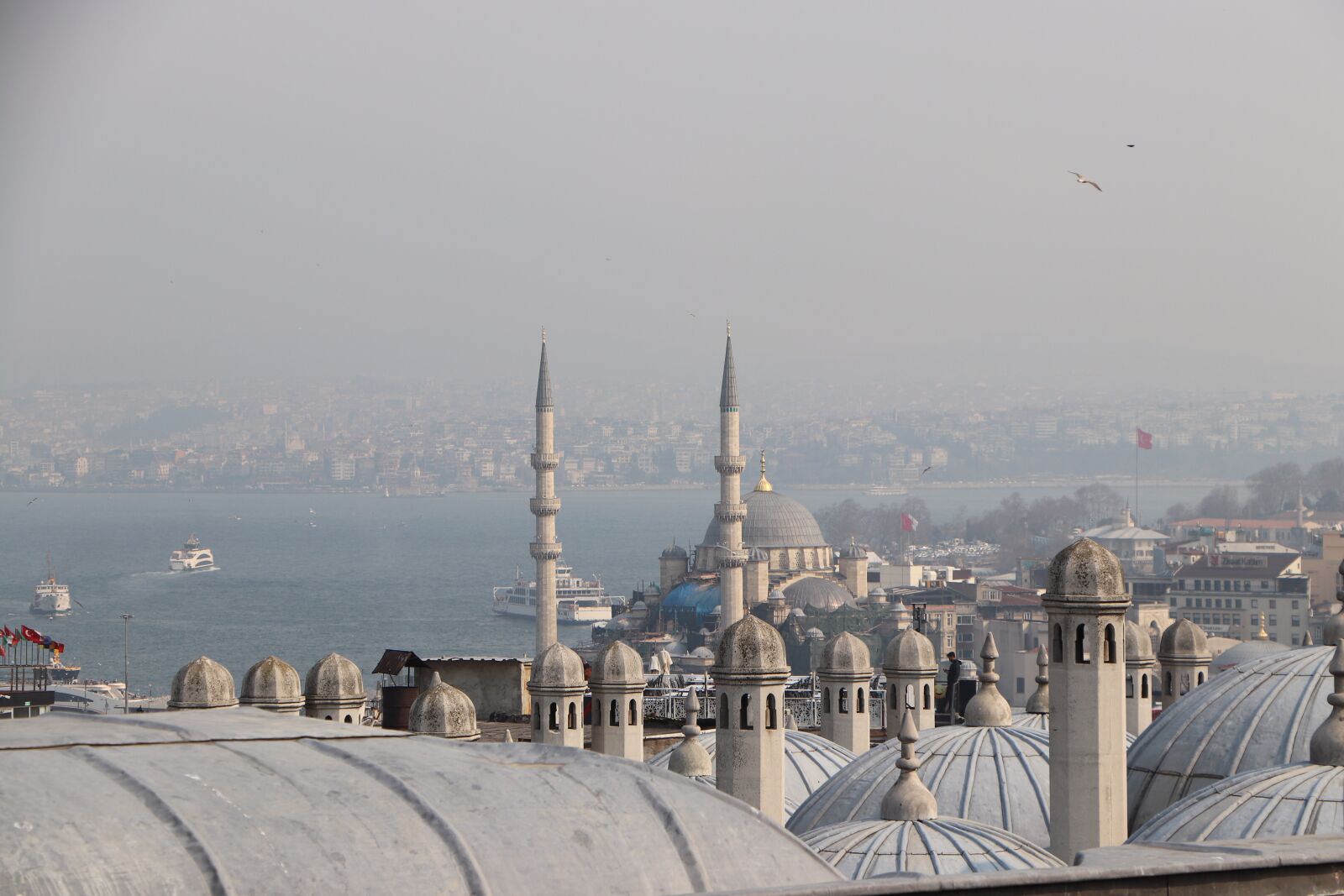 Canon EOS 77D (EOS 9000D / EOS 770D) sample photo. Dome, cami, islam photography