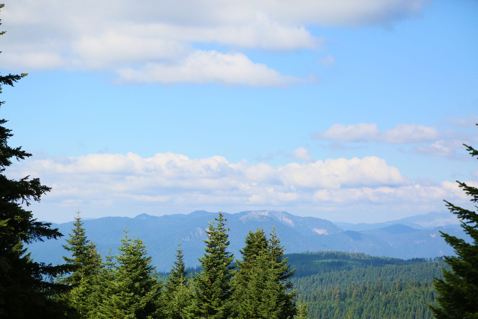 Canon EF 24-105mm F4L IS USM sample photo. Mountains, forest, paysage photography