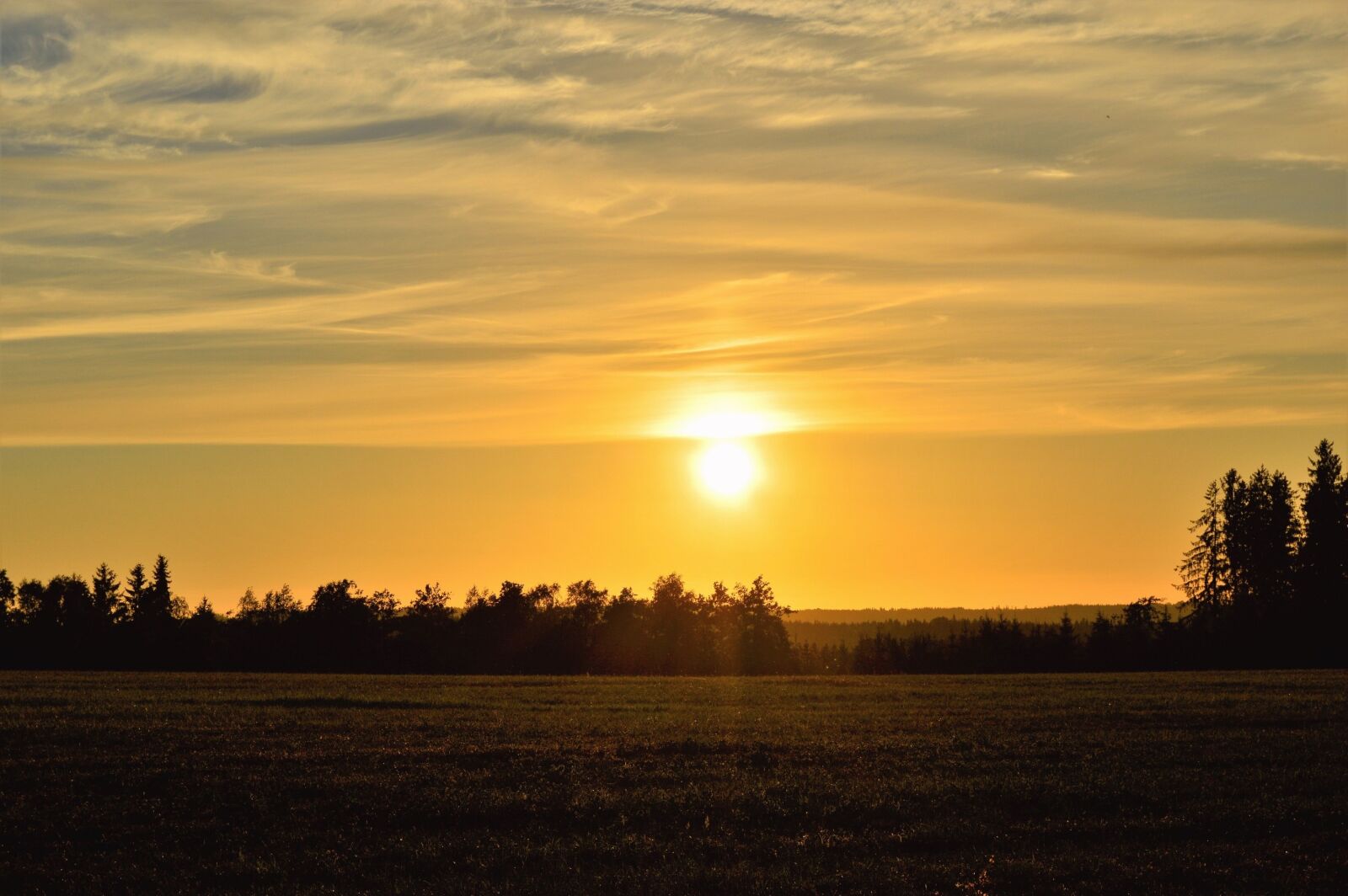 Nikon D3200 sample photo. Sunset, sweden, field photography